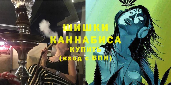 ПСИЛОЦИБИНОВЫЕ ГРИБЫ Алзамай