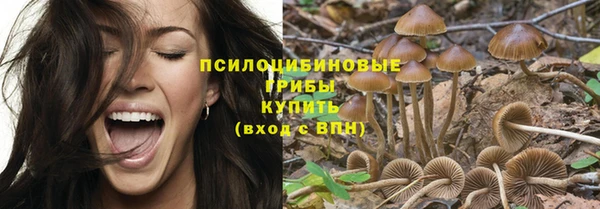 ПСИЛОЦИБИНОВЫЕ ГРИБЫ Алзамай